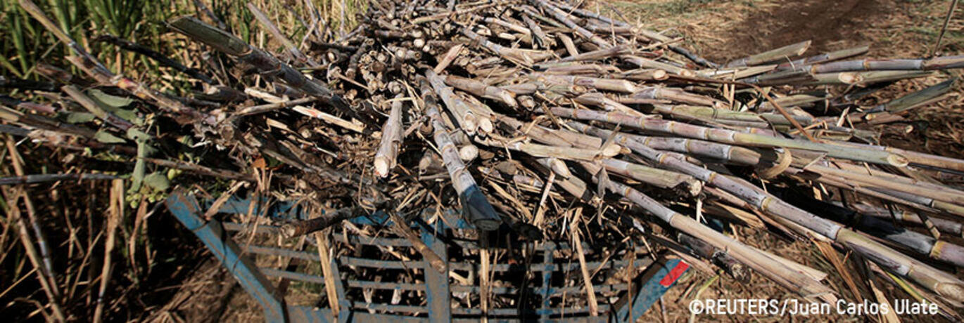 Biobrandstoffen Peru