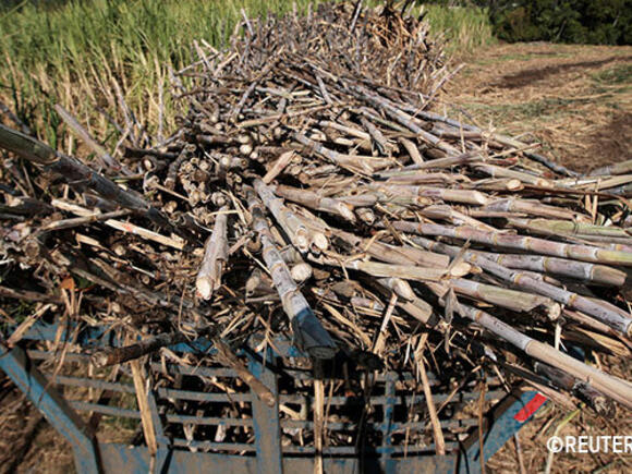 Biobrandstoffen Peru