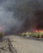 Brandend suikerrietveld