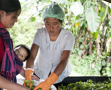 40 jaar Oxfam in Laos
